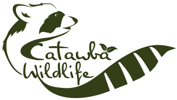 logo home